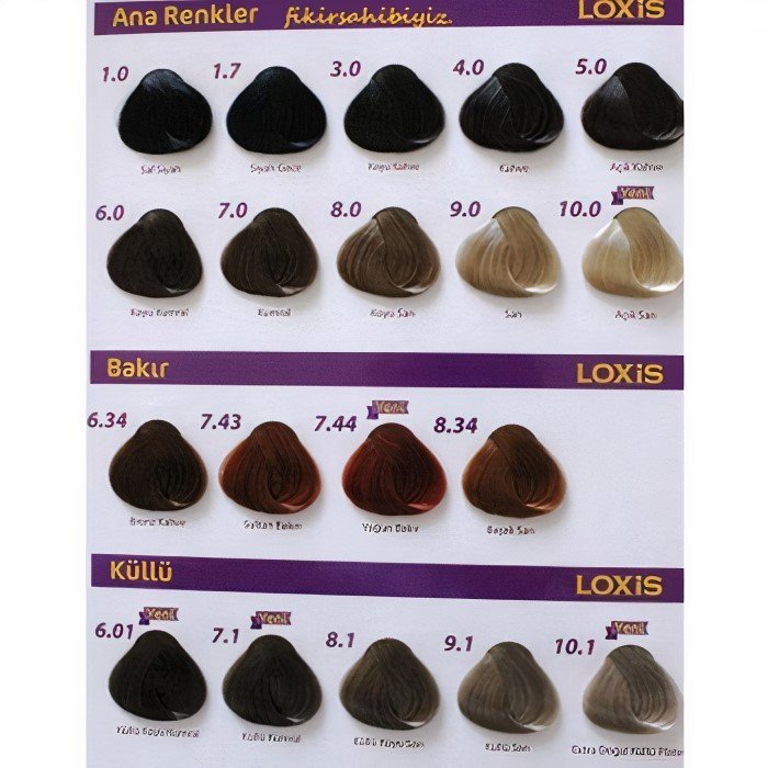 2- Siyah Saç Tonları