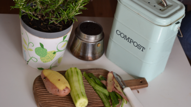 kompost nedir? nasıl yapılır?