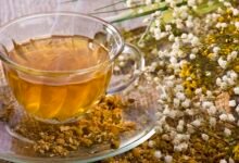 papatya çayının i̇nsan sağlığına mucizevi yararları nelerdir