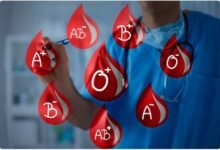 Kan Grubu Diyeti Nedir? 4 Kan Grubuna Göre Diyet Nasıl Yapılır?
