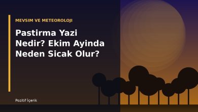 Pastirma yazi nedir - sonbahar manzarasi ile altin saat isigi altinda agaclar