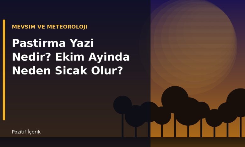Pastirma yazi nedir - sonbahar manzarasi ile altin saat isigi altinda agaclar