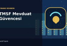 TMSF mevduat güvencesini temsil eden banka binaları ve kilit görseli
