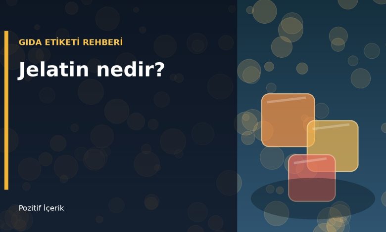 Jelatin nedir başlıklı gıda etiketi rehberi için jelatin küplerini gösteren yatay illüstrasyon