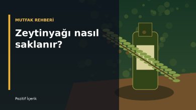 Koyu yeşil zeytinyağı şişesi, zeytin dalı ve zeytinlerle hazırlanmış yatay saklama rehberi görseli